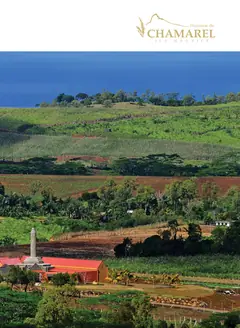 Page 317