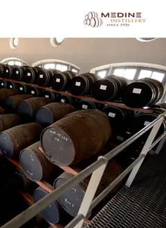 Page 295